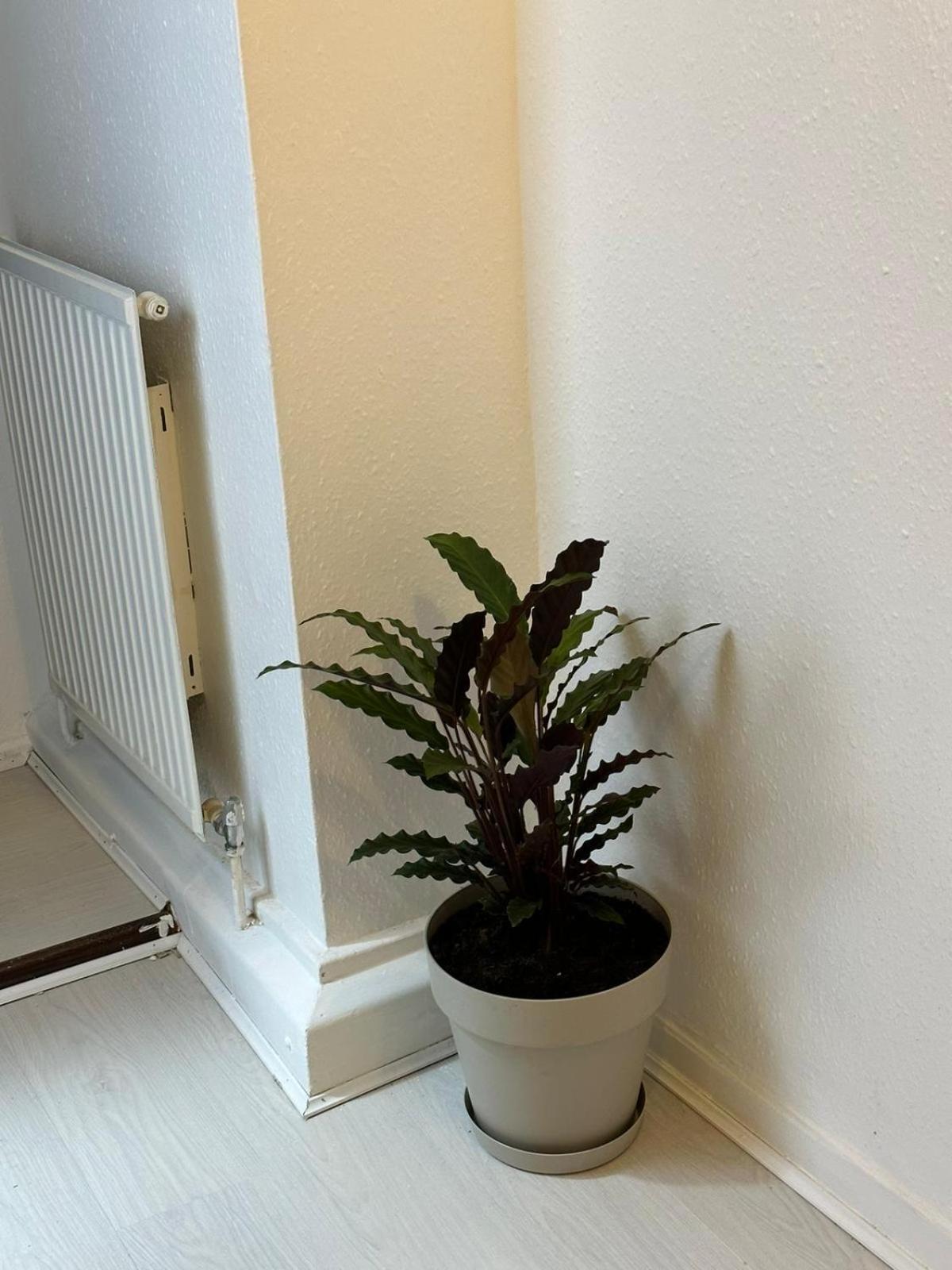 3 Bedroom King Cross Station City Centre London Londres Exterior foto